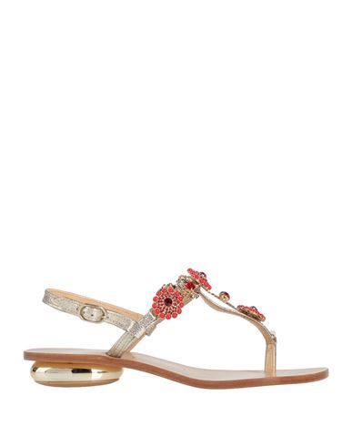 Roberto Serpentini Woman Toe Strap Sandals Platinum Size 6 Soft Leather In Grey
